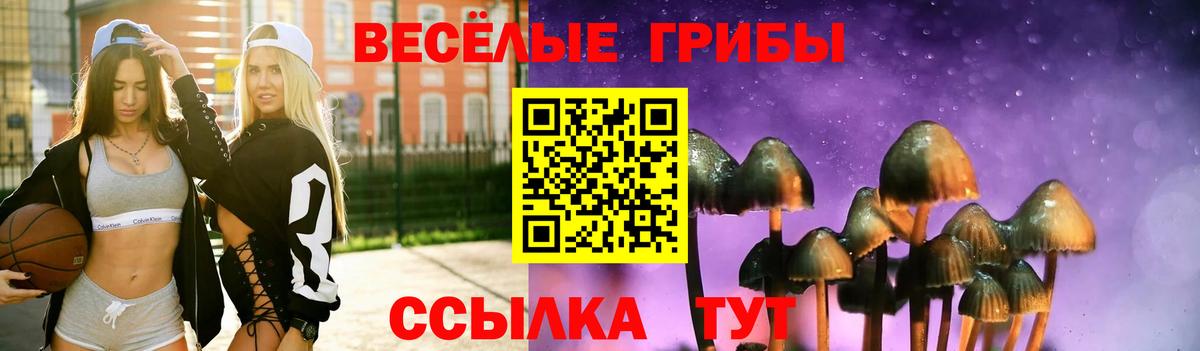 где продают   Вход с VPN  Звенигород  Галлюциногенные грибы Psilocybine cubensis 